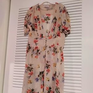 Zara Premium Denim Collection Floral Sheer Dress